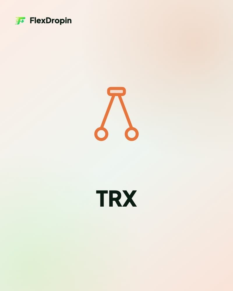 Drop-in TRX — ambiente e attrezzatura